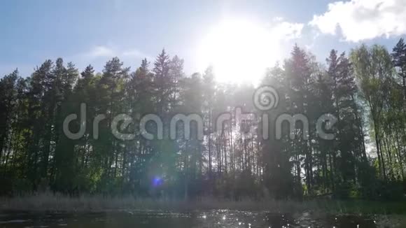 夏日森林剪影太阳耀斑从湖边看高清慢镜头视频的预览图