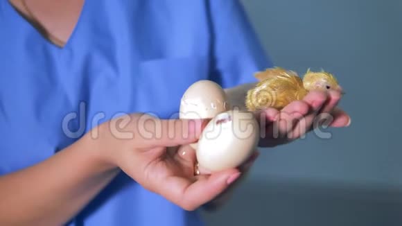 刚出生的鸡在农场里从鸡蛋里孵化出来农夫拿着一个鸡蛋4K视频的预览图