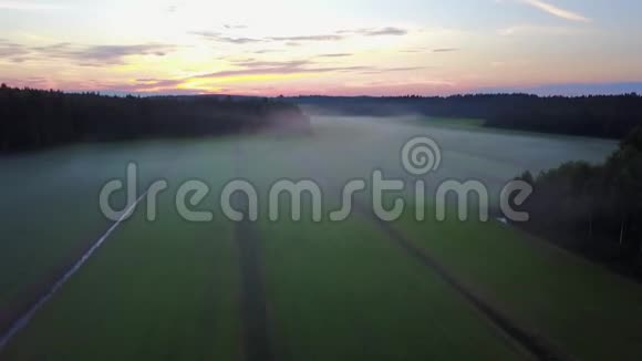 日落时雾在田野上的空中录像森林和田野的美丽景色视频的预览图