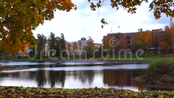 秋天城市的河流和枫树视频的预览图