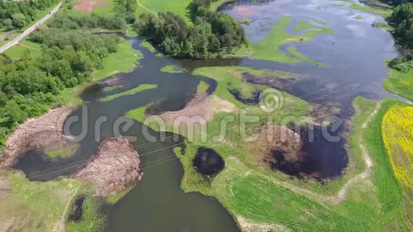 飞越美丽的俄罗斯自然河森林和花田空中高清镜头视频的预览图