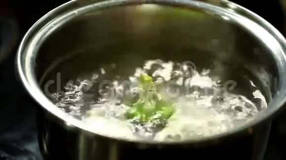 一片花椰菜视频的预览图