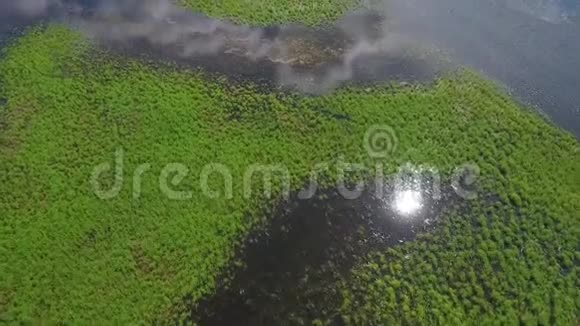 鸟瞰飞越美丽的俄罗斯自然夏天的湖和野地高清慢镜头视频的预览图