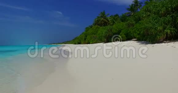 V07987马尔代夫美丽的白色沙滩背景阳光明媚的热带天堂岛上有棕榈树带水蓝色视频的预览图
