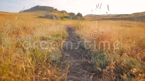 在草原上行走的个人视角漂亮的POVHD慢动作克雷米亚俄罗斯视频的预览图