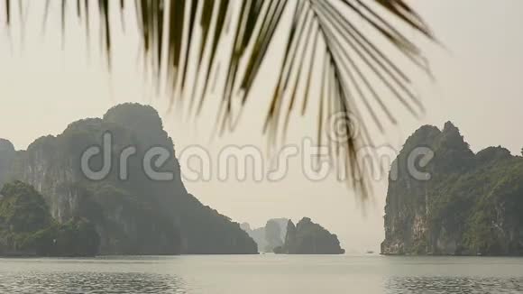 越南哈龙湾的山景棕榈树的树枝视频的预览图