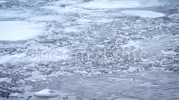 你的爪子融化的冰块和浮子漂浮在水上视频的预览图