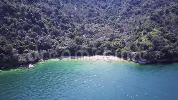 野日本梅花鹿海滩空中4k观景视频的预览图