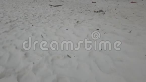 海滩沙的特写录像沙滩观景特写视频的预览图