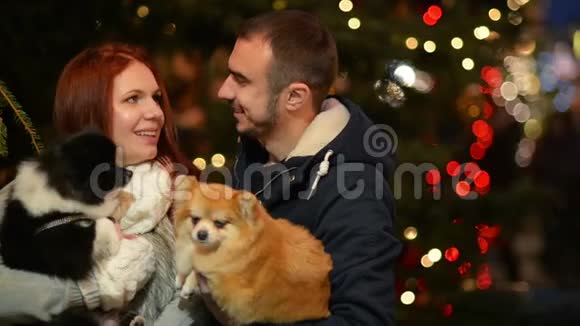 白种人貌相的年轻夫妇和狗夫妇在一起很有趣灯光和基督大树在背景上视频的预览图