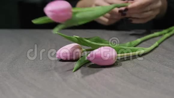 职业女性花店用粉红色郁金香做花束视频的预览图