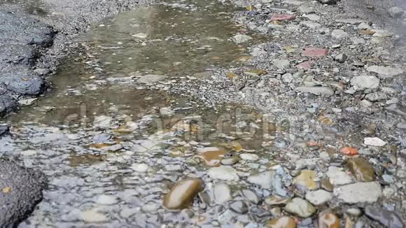 一股雨水流过岩石视频的预览图