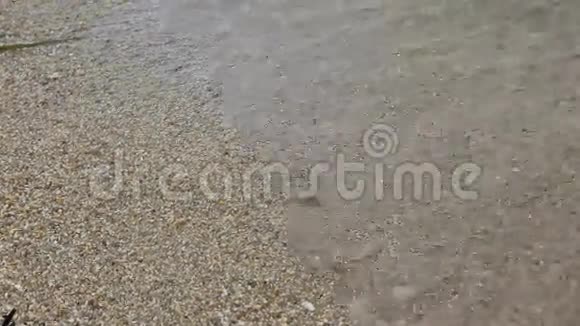 海浪在海滩上视频的预览图