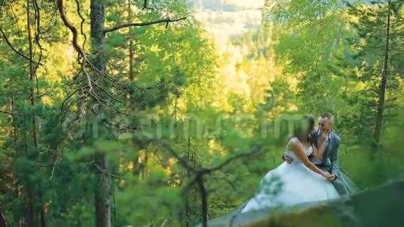 活跃的一对夫妇在森林里的岩石上爬着悬崖松树视频的预览图