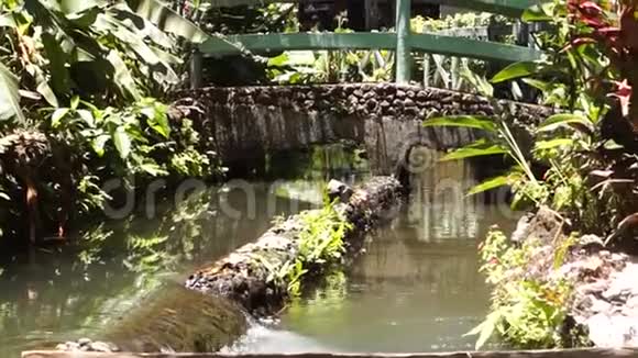 沿河公园的石桥追踪拍摄视频的预览图