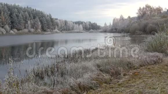 秋霜中湖光山色布格罗沃村普什金斯基戈里俄罗斯视频的预览图