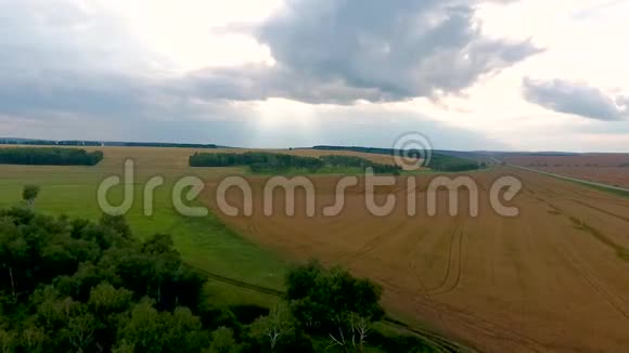 从空中俯瞰克拉斯诺亚尔斯克领土的田野森林和道路俄罗斯视频的预览图
