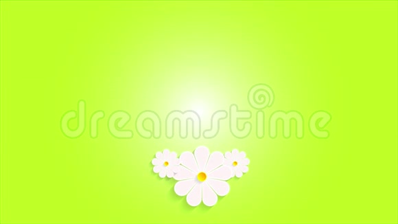 三个复活节彩蛋和雏菊视频的预览图