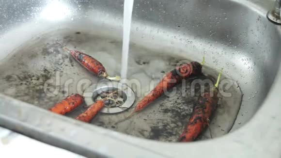 洗洗水槽里的胡萝卜视频的预览图