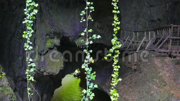 藤蔓挂在山洞里视频的预览图