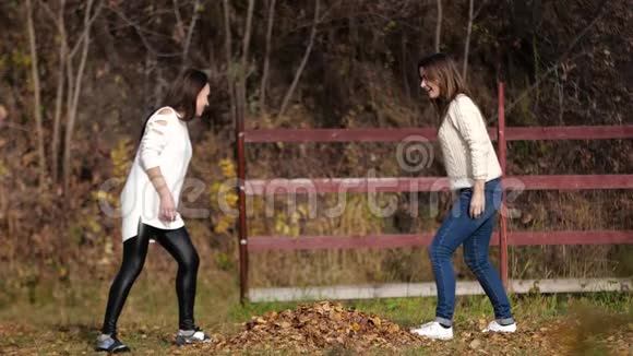 公园里有两个叶子的快乐女孩黄叶视频的预览图
