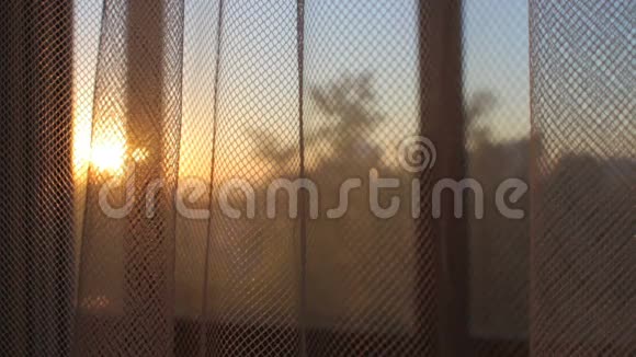 日出日落时女性手打开透明窗帘视频的预览图