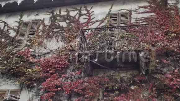意大利杂草丛生的老建筑视频的预览图