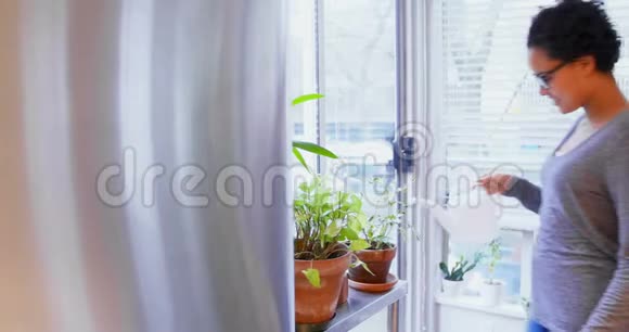 女人给阳台上的植物浇水视频的预览图