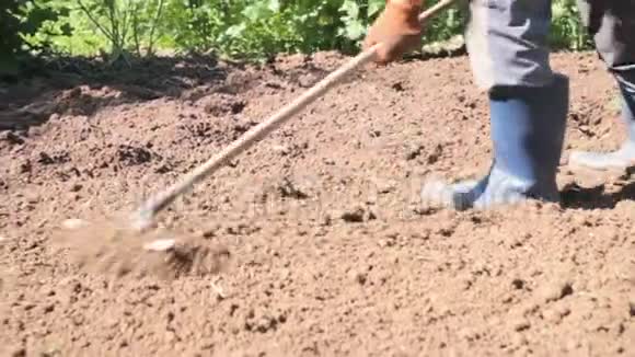 在郊区一个农民穿着橡胶靴在一个耙子的帮助下一个花园正在平整地面为它做准备视频的预览图