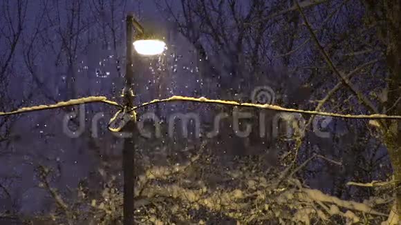 傍晚在公园下雪视频的预览图