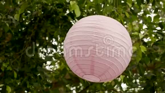 挂在绿树枝上的白色粉红色宣纸团视频的预览图