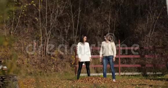 公园里有两个叶子的快乐女孩黄色叶子视频的预览图