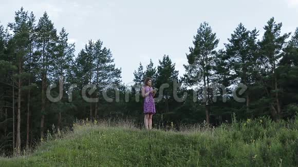 夏日森林中的女照相册视频的预览图