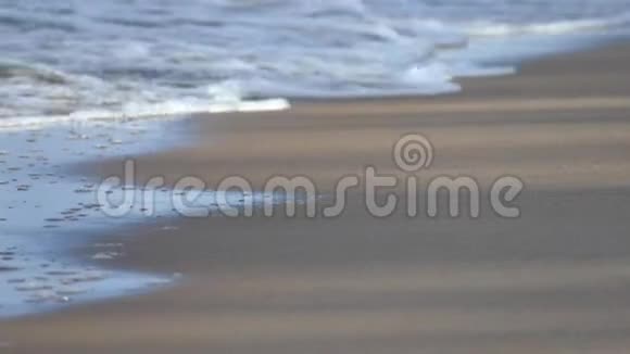 沙滩上的软海浪视频的预览图