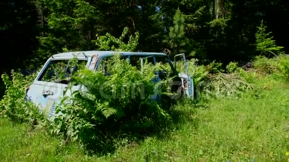 一个废弃汽车墓地的细节大自然正在慢慢地重新开垦视频的预览图