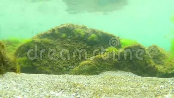 黑海水下视频的预览图