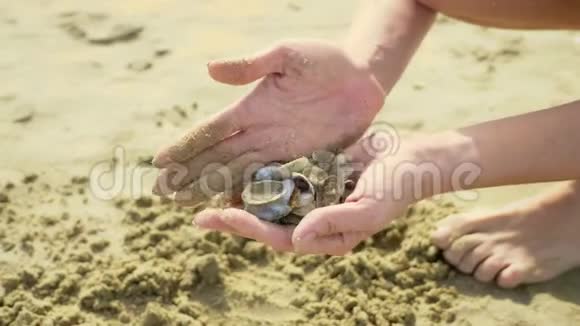 许多小贝壳在海的背景上由雌性手拿视频的预览图