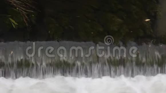 从池塘中排出多余的水视频的预览图