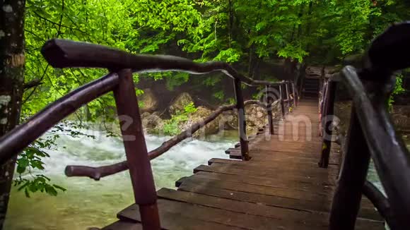 在绿色森林里的一条河上的老桥视频的预览图
