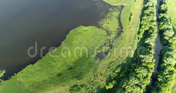从无人驾驶飞机看俄罗斯的河流和池塘视频的预览图