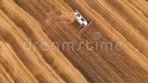 空中景色夏季小麦收获田间劳动的收割者联合收割机农用机器视频的预览图