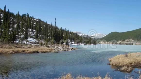 美丽的山顶湖在公元前北部晴朗的一天视频的预览图