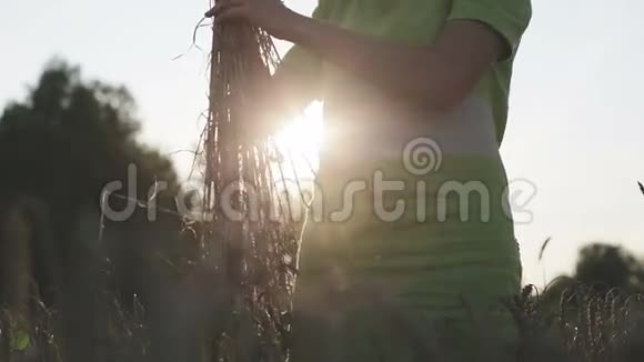 穿着绿色连衣裙的黑发女孩在田野里放着一束麦穗视频的预览图