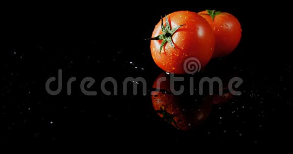 新鲜番茄黑色背景4k视频的预览图