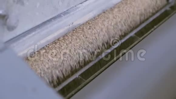 面粉和谷物的制造小麦碾磨生产小麦粉工厂的小麦粉碾磨设备视频的预览图