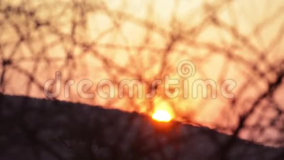 非洲太阳落山视频的预览图