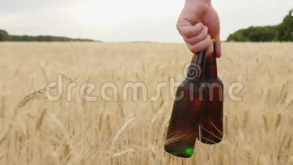 一个人拿着两瓶冷啤酒在一片大麦上概念是解渴慢速视频视频的预览图