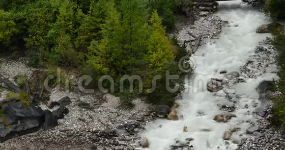 4k瀑布在山谷中流淌绿色针叶树博米县西藏视频的预览图