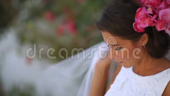 漂亮的新婚夫妇波霍风格希腊感情的柔情视频的预览图