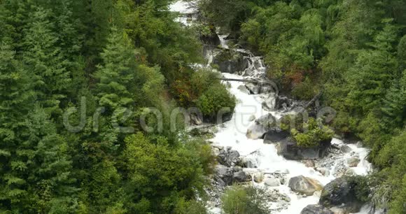 4k瀑布流谷绿色针叶树博米县西藏视频的预览图